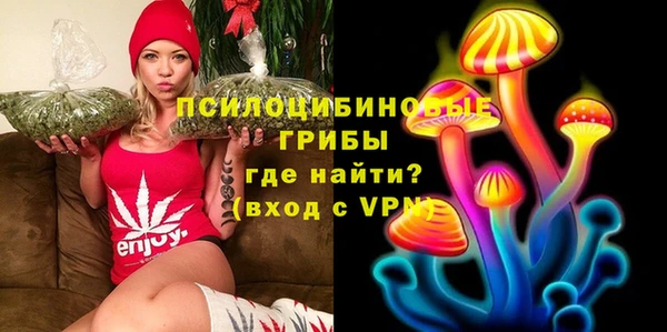мдма Корсаков