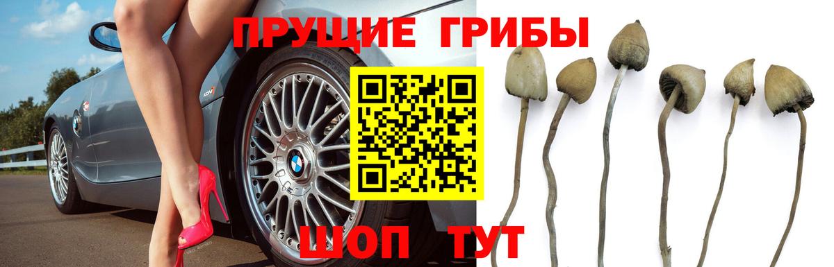 купить   Вход с VPN  Южно-Сахалинск  Псилоцибиновые грибы мухоморы 